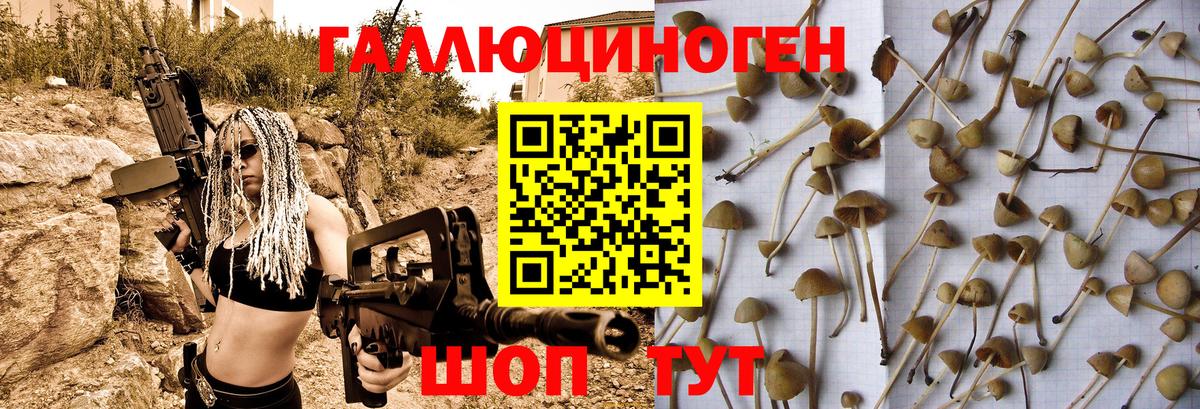 Псилоцибиновые грибы мухоморы  Галлюциногенные грибы MAGIC MUSHROOMS  Буйнакск  Вход с VPN 