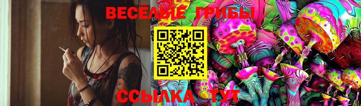 Псилоцибиновые грибы GOLDEN TEACHER Буйнакск